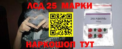 крисы Краснодар