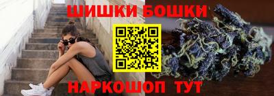 крисы Краснодар