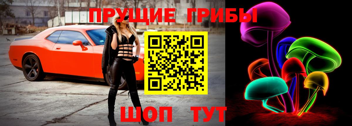 Псилоцибиновые грибы Psilocybe  купить закладку  Жигулёвск  Вход с VPN 